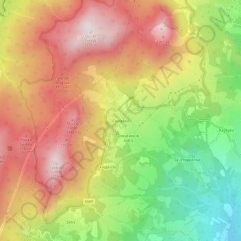 Carte topographique Covigliaio, altitude, relief