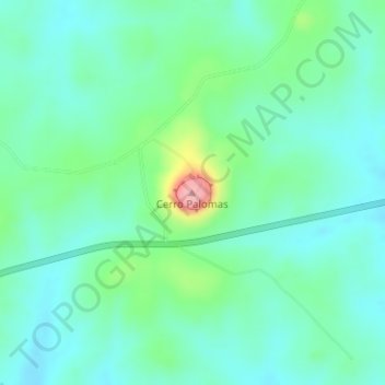 Carte topographique Cerro Palomas, altitude, relief