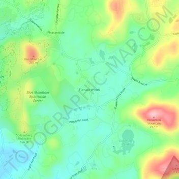 Carte topographique Furnace Woods, altitude, relief