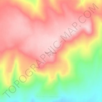 Carte topographique Bald Mountain, altitude, relief