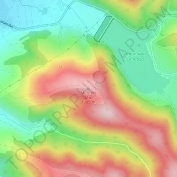 Carte topographique Muntele Mic, altitude, relief
