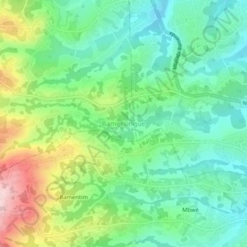 Carte topographique Bamessingue, altitude, relief