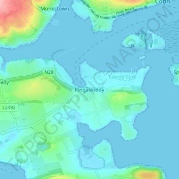 Carte topographique Ringaskiddy, altitude, relief