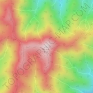 Carte topographique Newton Bald, altitude, relief
