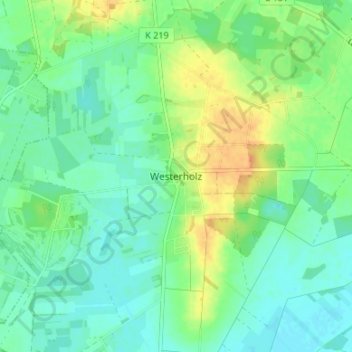 Carte topographique Westerholz, altitude, relief