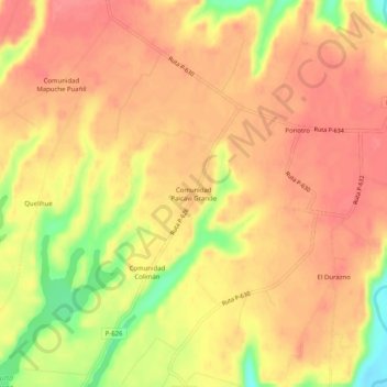 Carte topographique Comunidad Paicaví Grande, altitude, relief