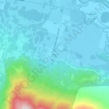 Carte topographique Palguín, altitude, relief