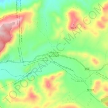 Carte topographique Tamaguert, altitude, relief
