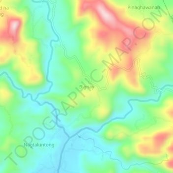 Carte topographique Bignay, altitude, relief