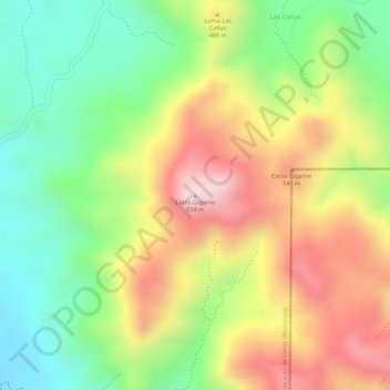 Carte topographique Cerro Gigante, altitude, relief