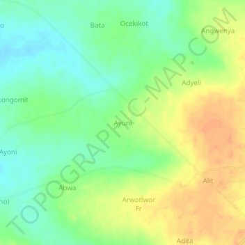 Carte topographique Ayuni, altitude, relief