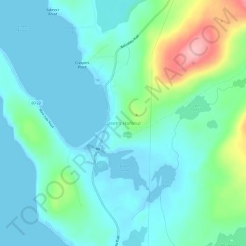 Carte topographique Green's Harbour, altitude, relief