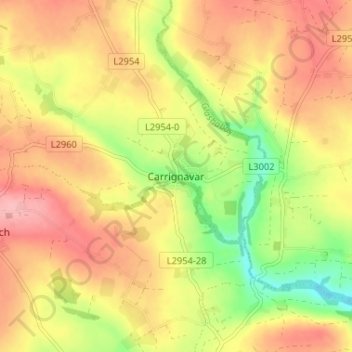 Carte topographique Carrignavar, altitude, relief