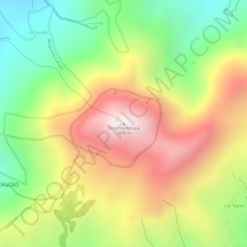 Carte topographique Cerro Munchique, altitude, relief