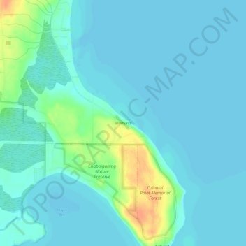Carte topographique Elmhurst, altitude, relief