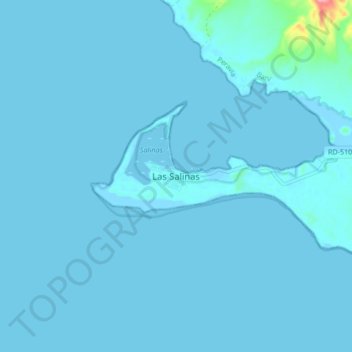 Carte topographique Las Salinas, altitude, relief