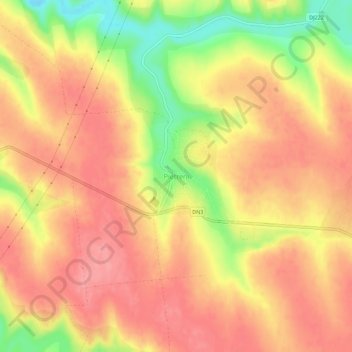 Carte topographique Pietreni, altitude, relief