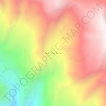 Carte topographique Cedro Del Pasto, altitude, relief