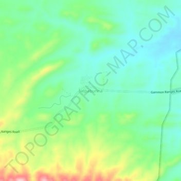 Carte topographique Nepabunna, altitude, relief