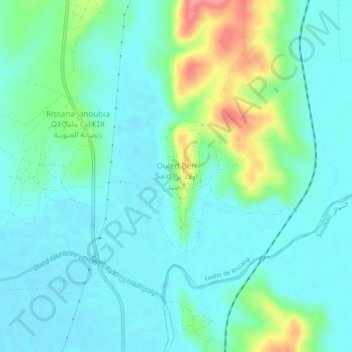 Carte topographique Ouled Ben Saïd, altitude, relief