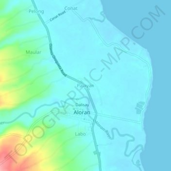 Carte topographique Palayan, altitude, relief
