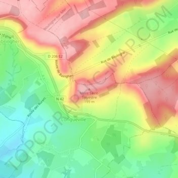 Carte topographique Mont Saint-Sylvestre, altitude, relief