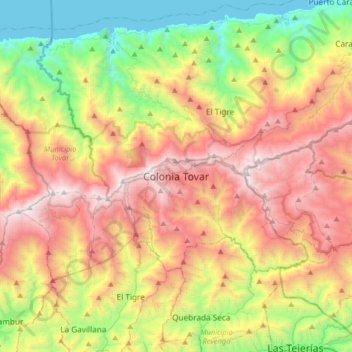Carte topographique Colonia Tovar, altitude, relief