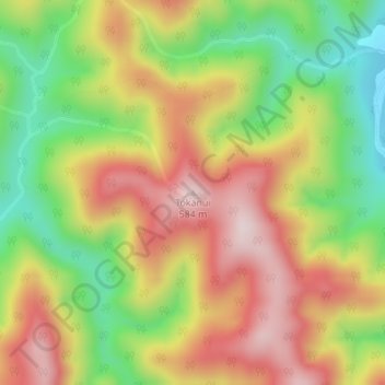 Carte topographique Tokanui, altitude, relief