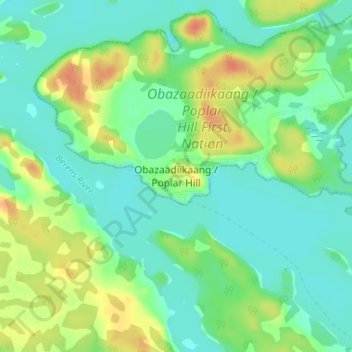 Carte topographique Poplar Hill, altitude, relief