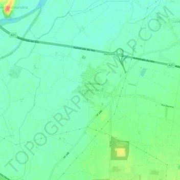 Carte topographique Castelceriolo, altitude, relief