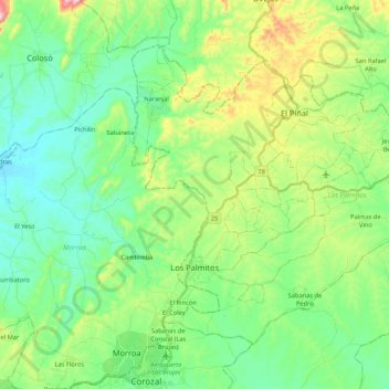 Carte topographique Los Palmitos, altitude, relief
